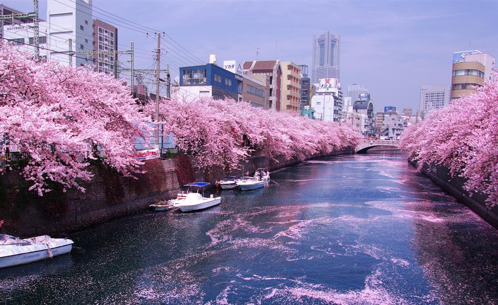 Junfukuya Lägenhet Osaka Exteriör bild
